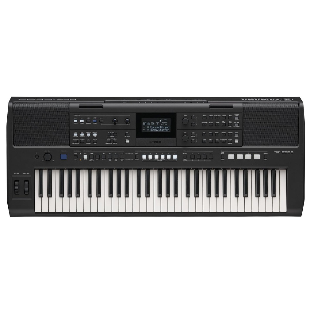 02-PSR-E583.jpg