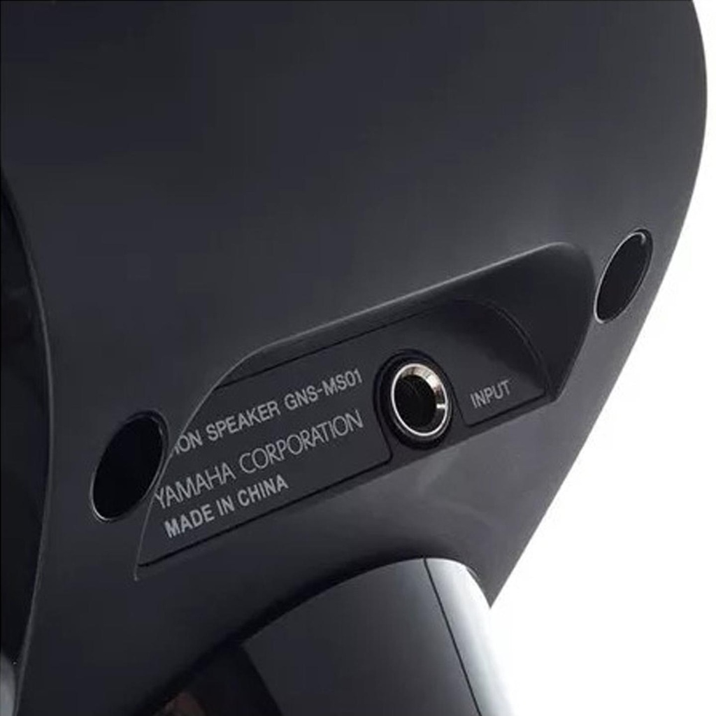 09-GENOS2-GNS-MS01.jpg