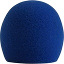 02-A58WS-BLU.jpg