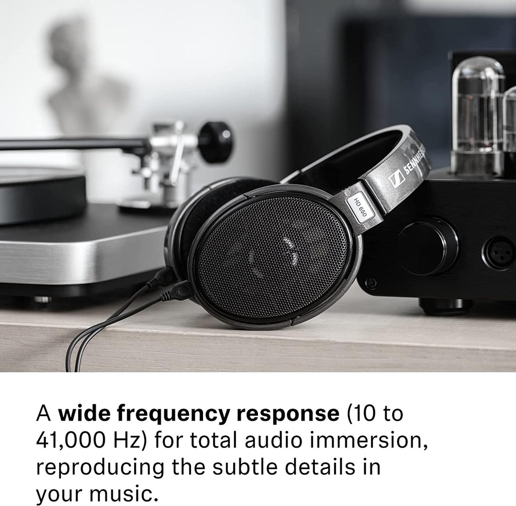 05-HD650.jpg