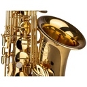 03-GR-SAL700.jpg