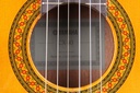 8894-11247.jpg