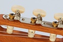 9313-12995.jpg