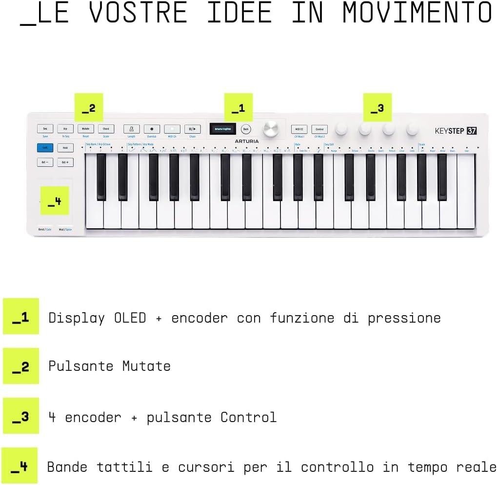 05-KEYSTEP37.jpg