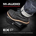 08-EX-P.jpg