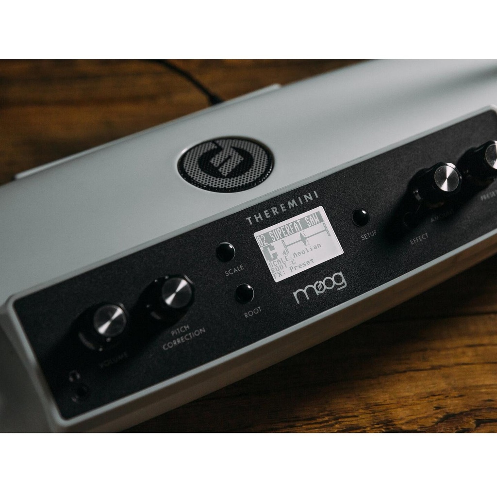 02-THEREMINI.jpg