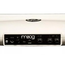 05-THEREMINI.jpg