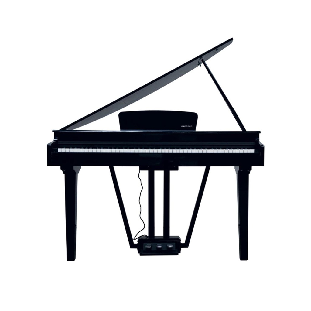02-Echord-GP10B.jpg