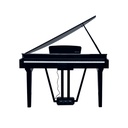 02-Echord-GP10B.jpg