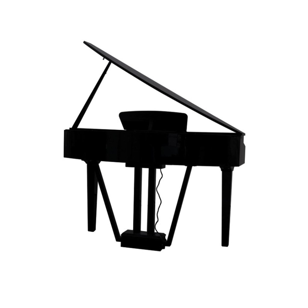 04-Echord-GP10B.jpg