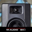 09-BX3-PAIR.jpg
