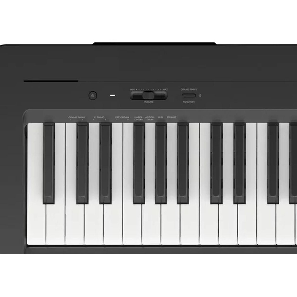 09-P-145BT-B.jpg