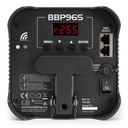 06-BBP96S.jpg