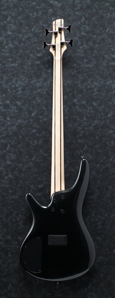02-SR300E-IPT.jpg