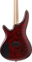 05-SR300EDX-WZM.jpg