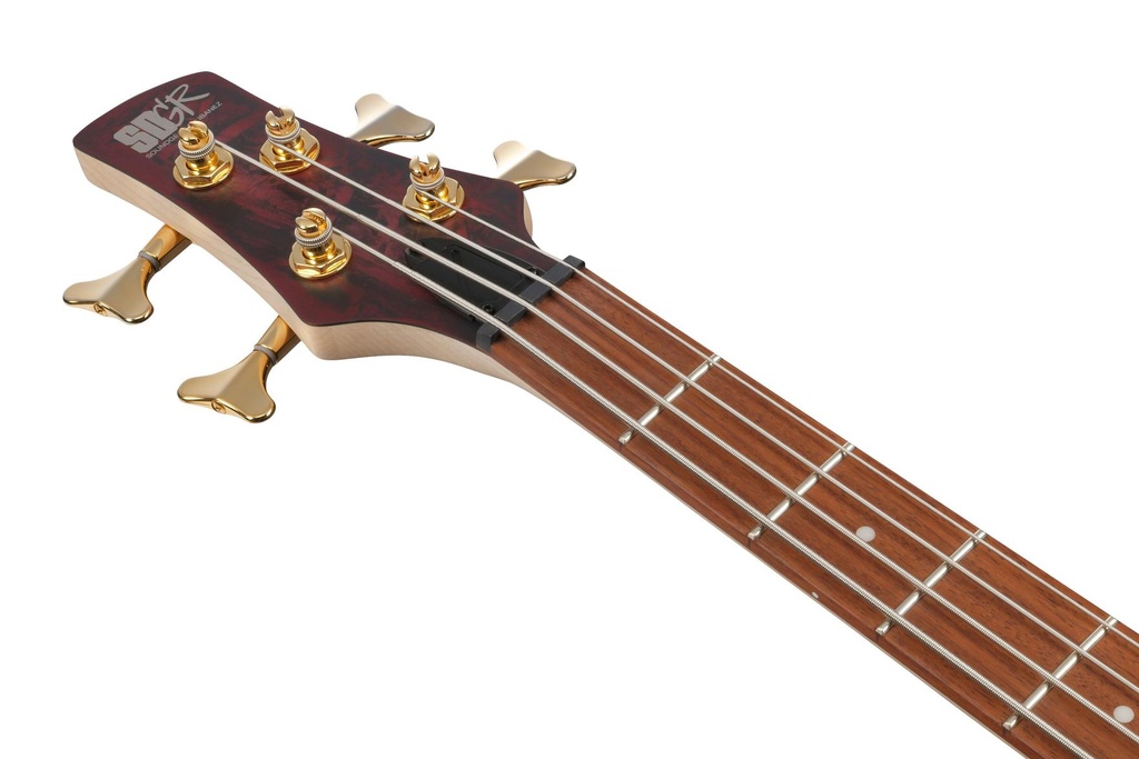 08-SR300EDX-WZM.jpg