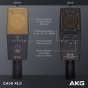 06-C414-XLII.jpg