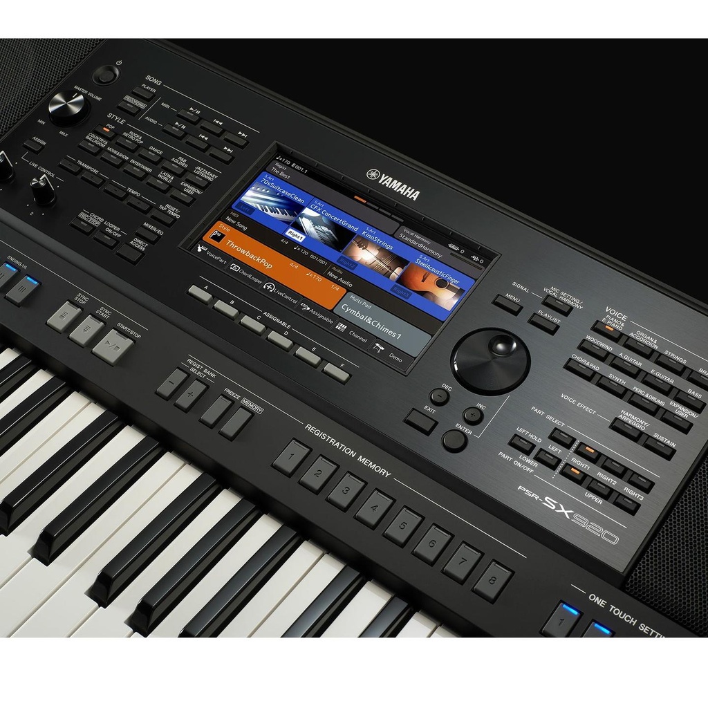 06-PSR-SX920.jpg