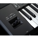 08-PSR-SX920.jpg