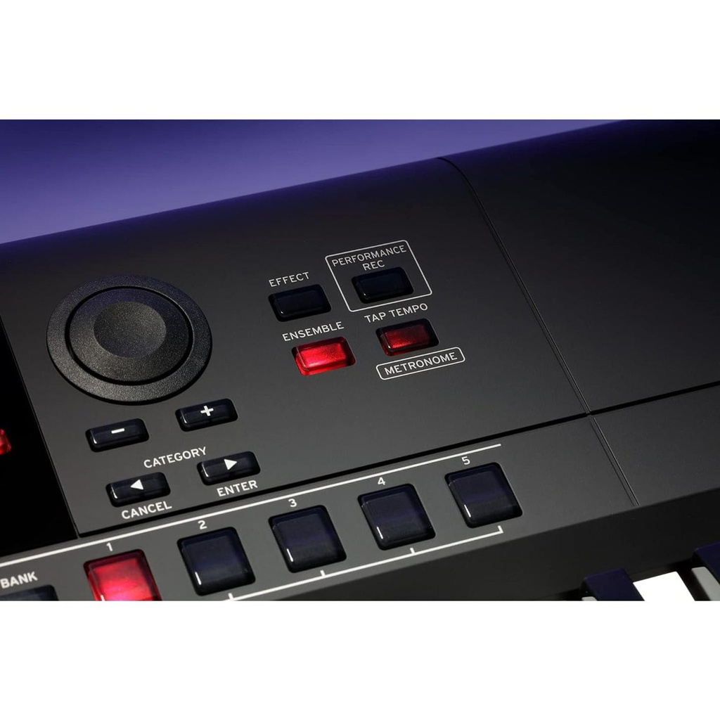 08-KORG-I3-BLK.jpg