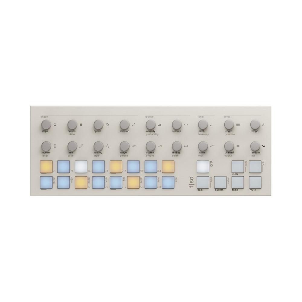Torso T1 (white)