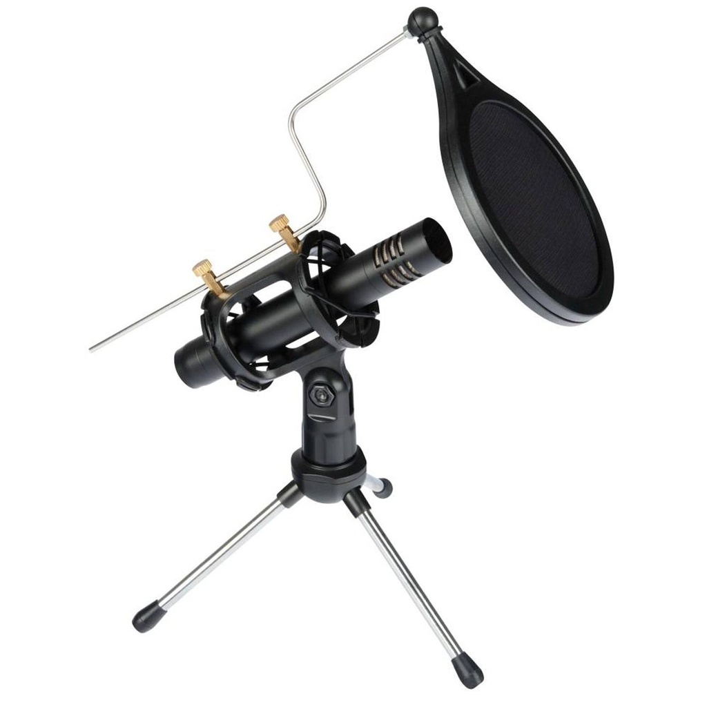 EIKON CM150V2 Microfono a condensatore unidirezionale per voci e strumenti